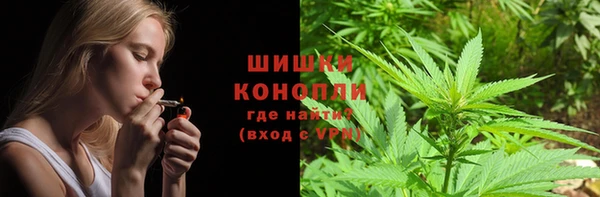 шишки Богданович